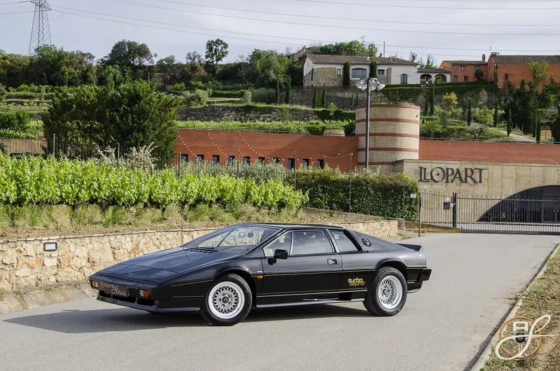 Lotus Turbo Esprit 2