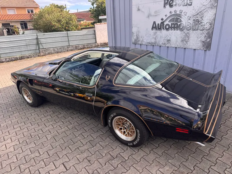 Trans AM Limited edition 6