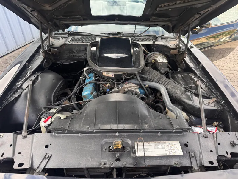 Trans AM Limited edition 7