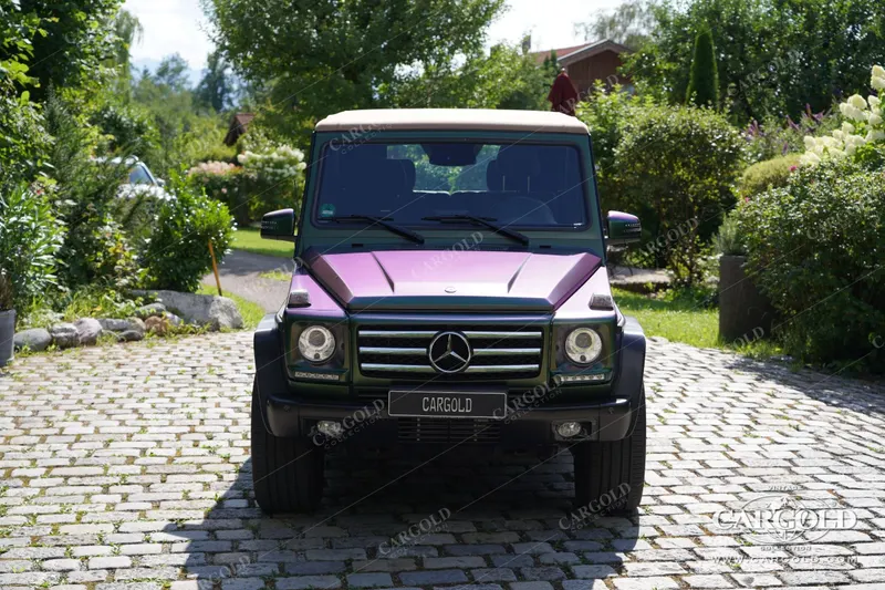 Mercedes-Benz G500 Cabriolet Final Edition 200 10