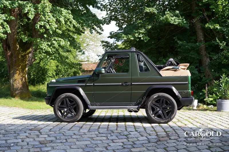 Mercedes-Benz G500 Cabriolet Final Edition 200 12
