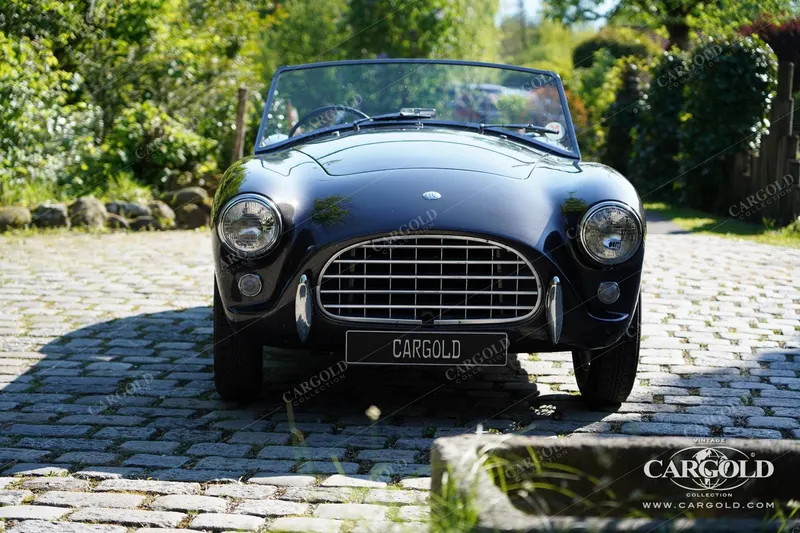 Ace Roadster 6