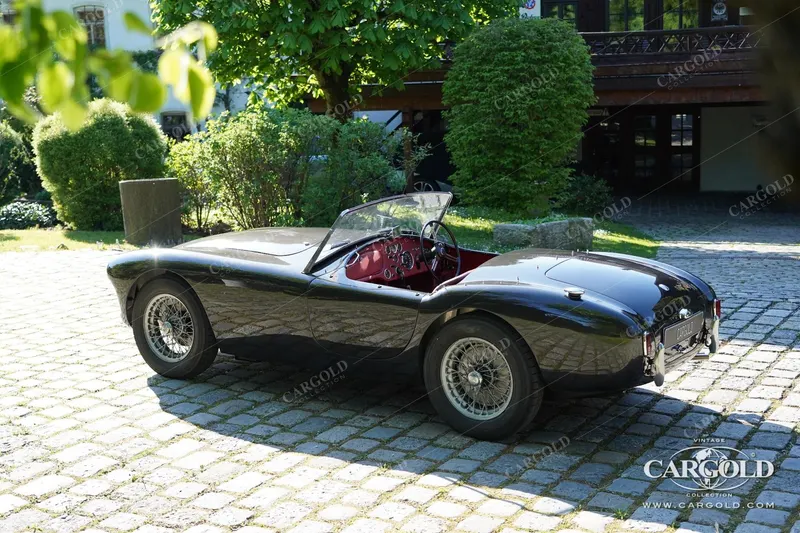 Ace Roadster 4