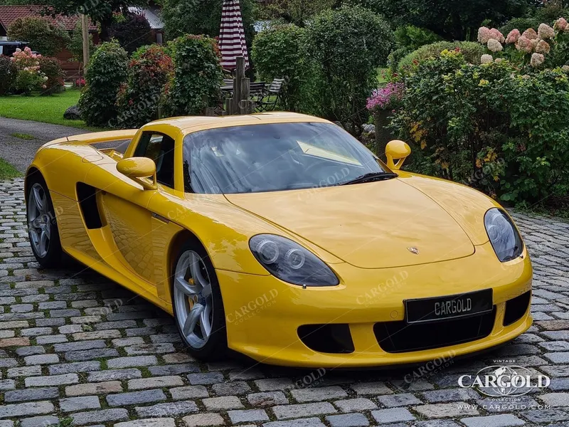 Porsche Carrera GT 13