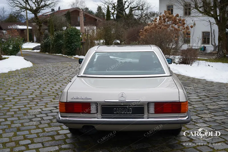 Mercedes-Benz 420 SL Roadster (W107) 9