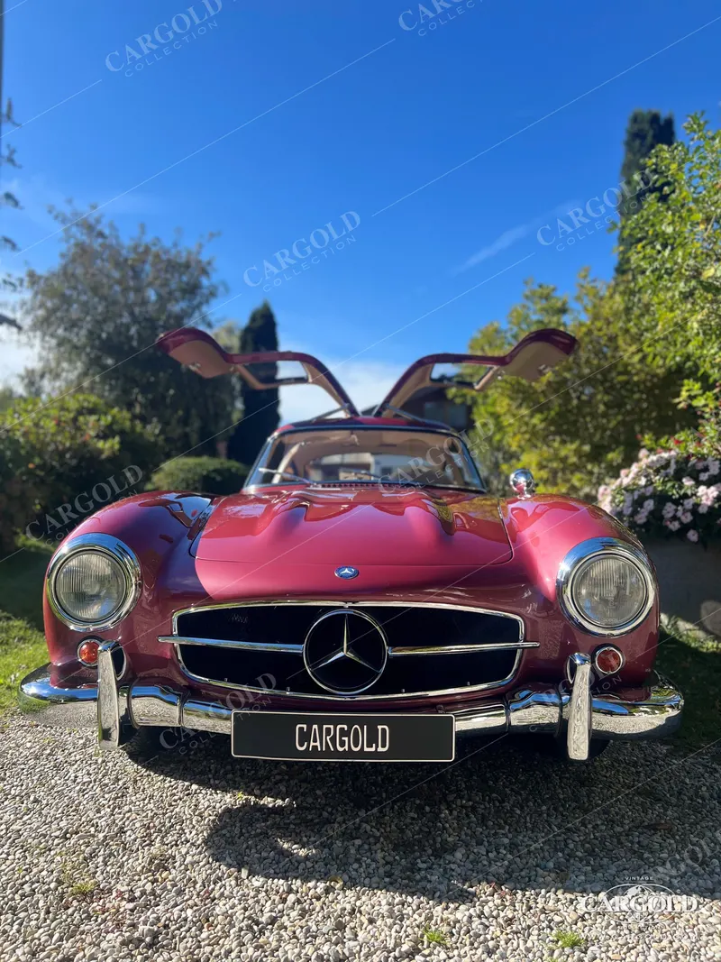 Mercedes-Benz 300 SL Gullwing 12