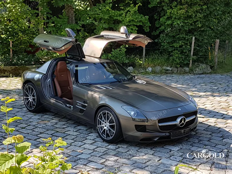 Mercedes-Benz SLS AMG Flügeltürer 2