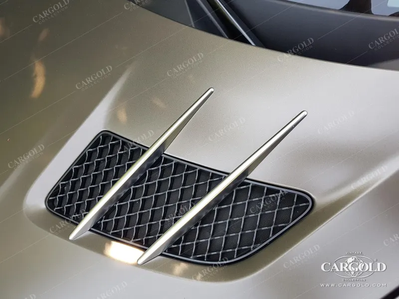 Mercedes-Benz SLS AMG Flügeltürer 12