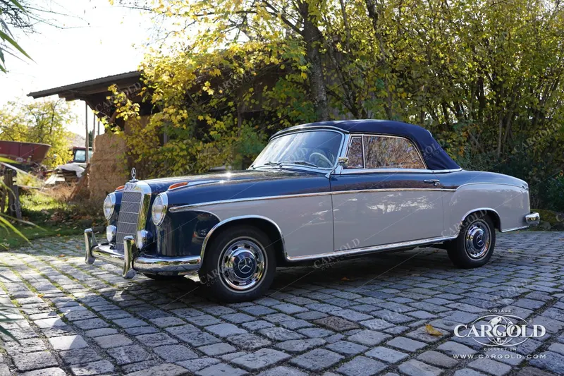 Mercedes-Benz 220 S Cabriolet 11