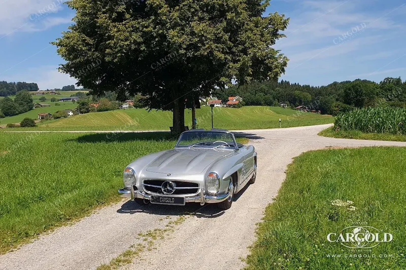 Mercedes-Benz 300 SL Roadster 13