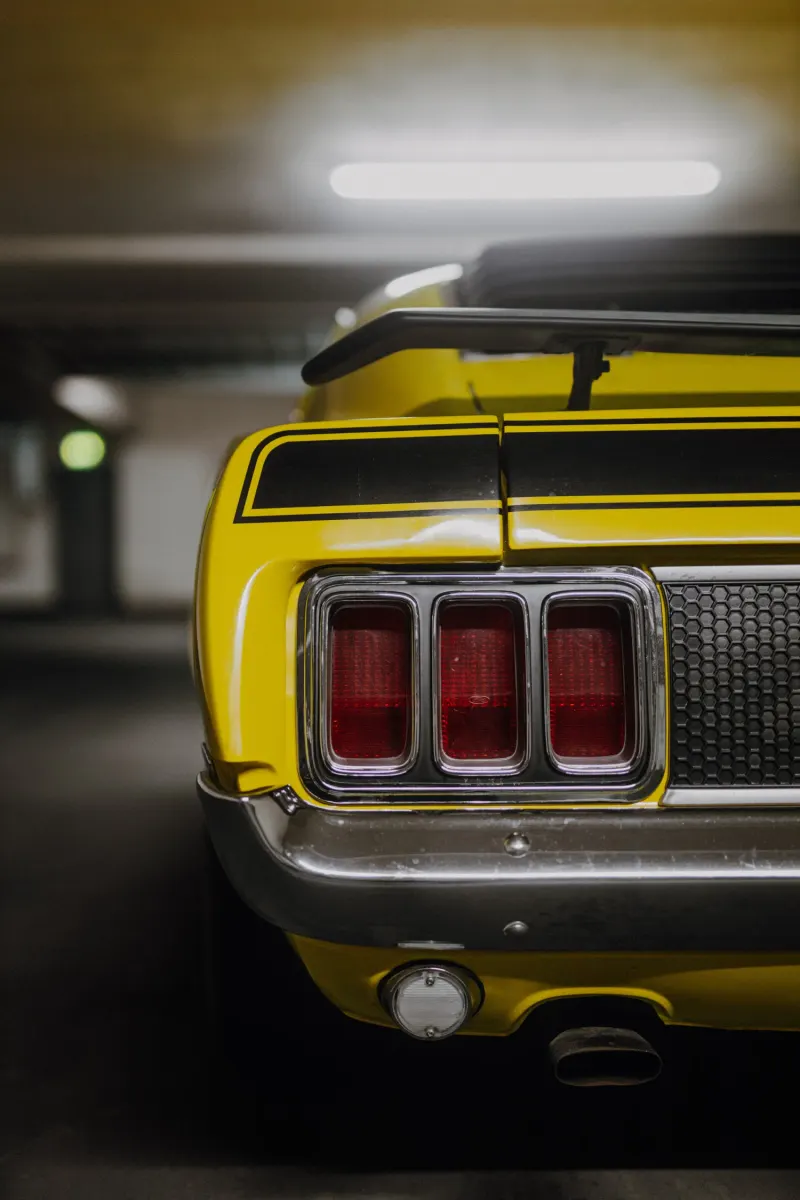Ford Mustang Mach 1 6