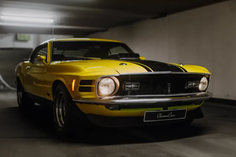 Ford Mustang Mach 1 8
