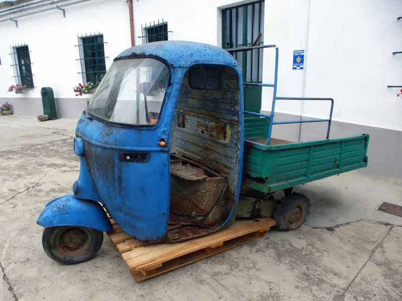 Ape Ape Faro Alto 13