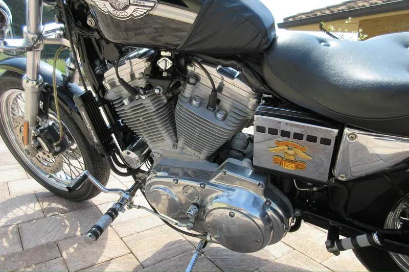 Sportster 15