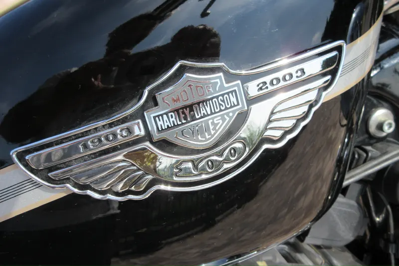 Sportster 14