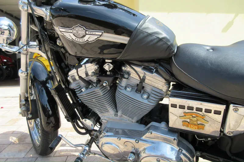 Sportster 6