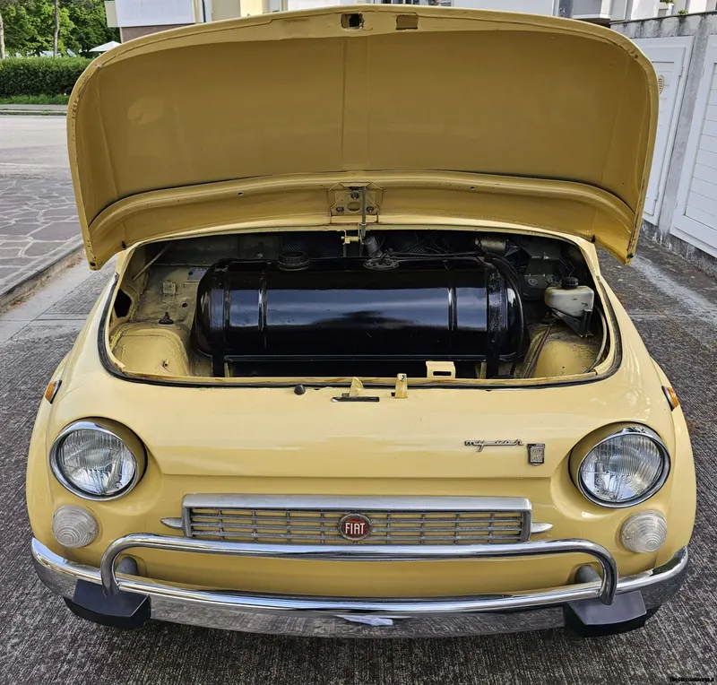 Fiat 500 My Car Francis Lombardi 32