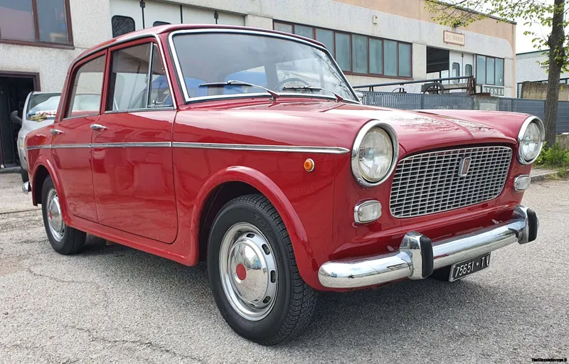Fiat 1100 D 19