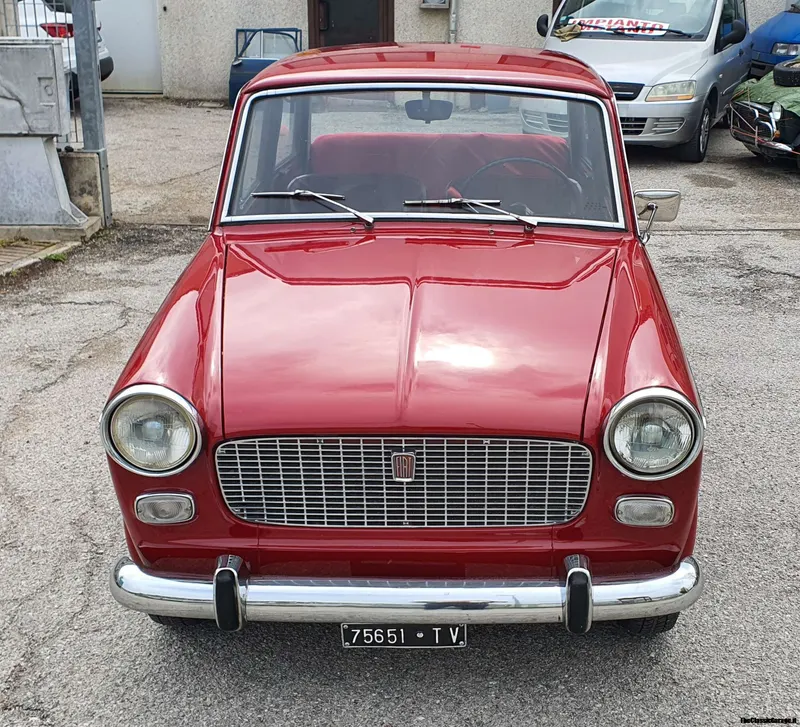 Fiat 1100 D 21