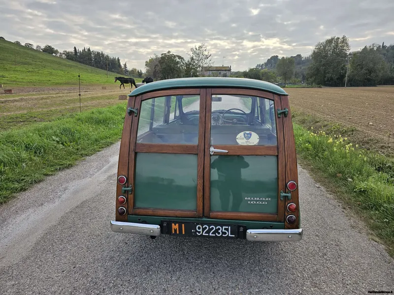 Minor 1.0 Traveller  - Asi 18