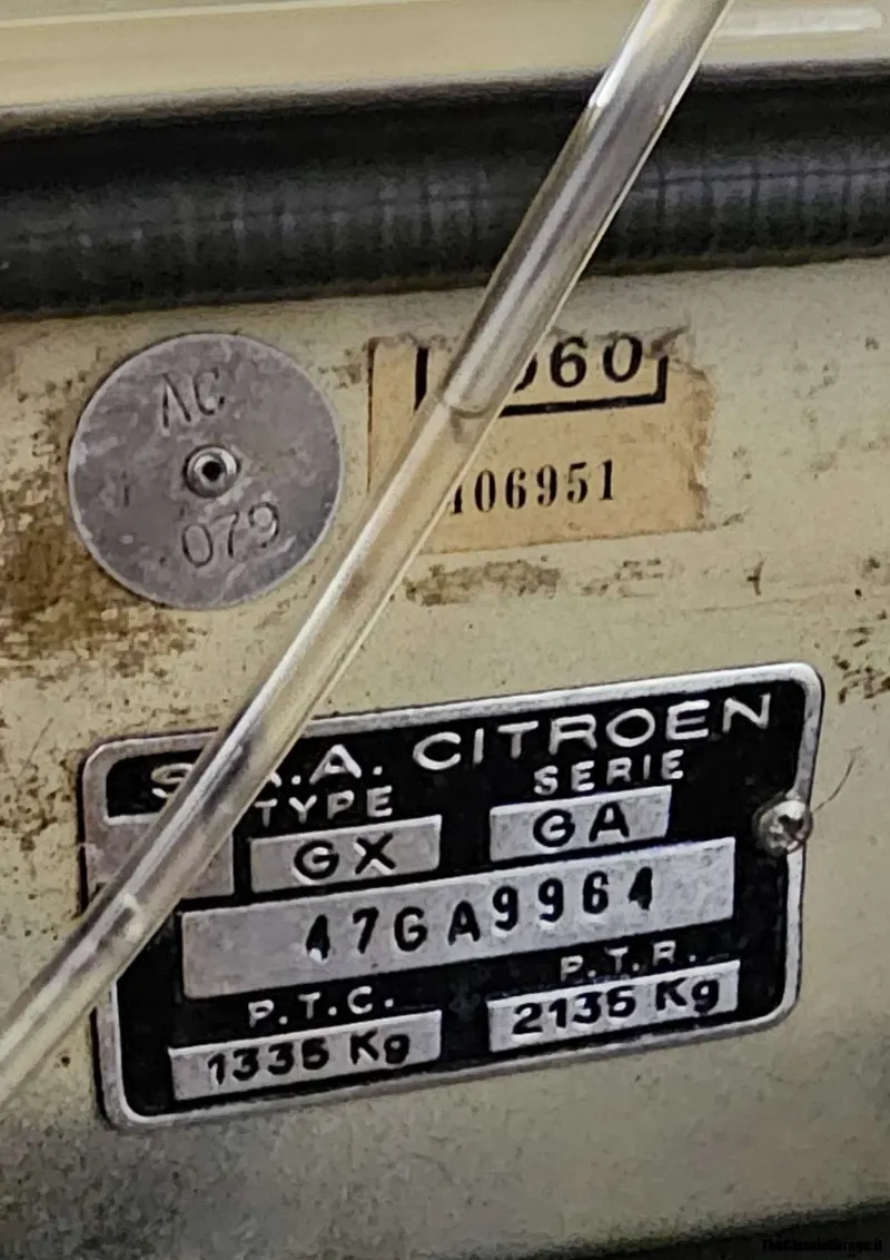 GS X  - Asi 31