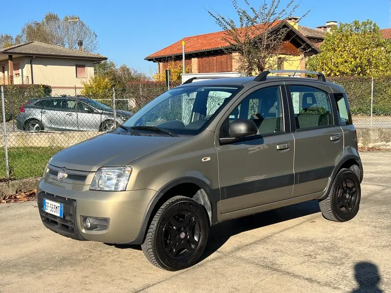 Fiat Panda 1.2 4x4 Climbing 18