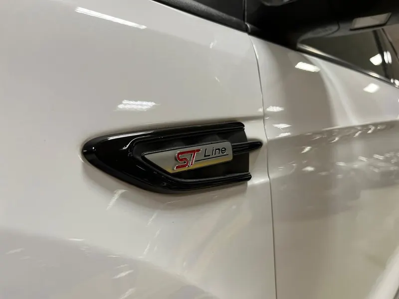 Ford Kuga 2.0 TDCI ST-Line 2wd 21