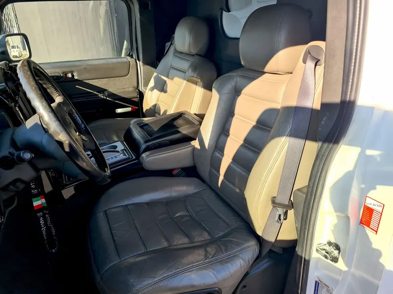 H2 Limousine 9 posti 6