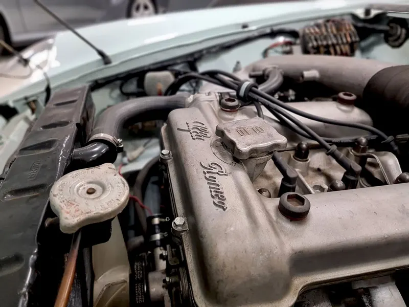 Alfa Romeo Spider Duetto Osso di Seppia 19