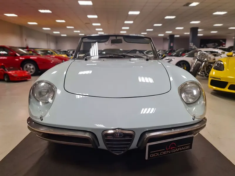Alfa Romeo Spider Duetto Osso di Seppia 3