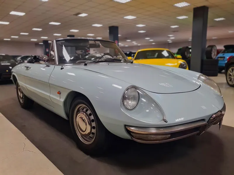Alfa Romeo Spider Duetto Osso di Seppia 4