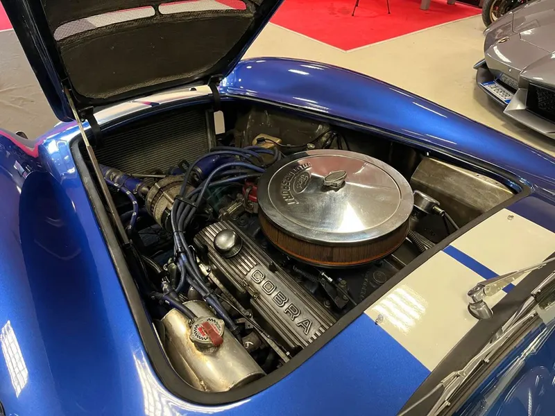 Cobra 20