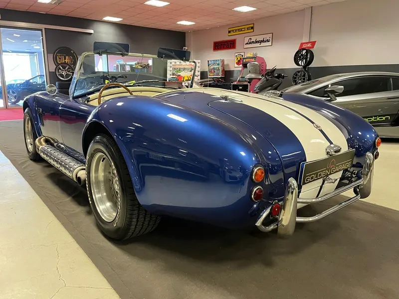 Cobra 6