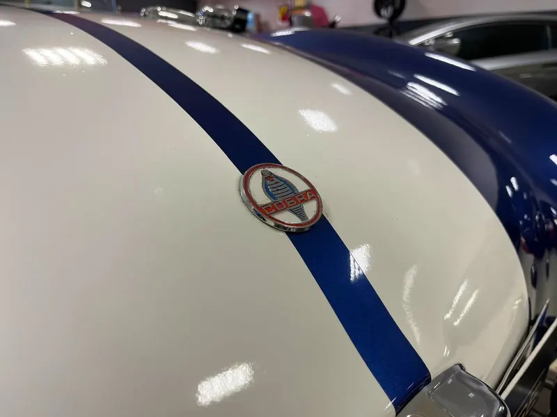 Cobra 24