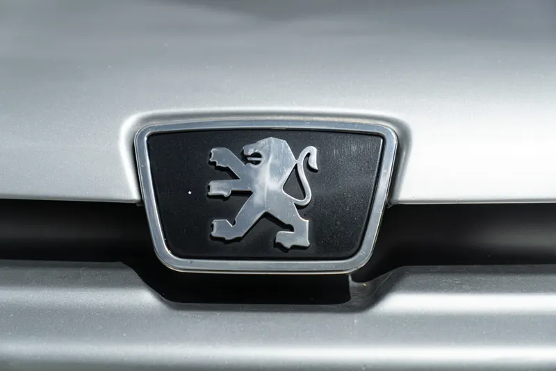 Peugeot 406&nbsp;COUPE’ 11