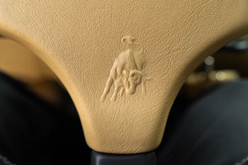 Lamborghini DIABLO VT 53