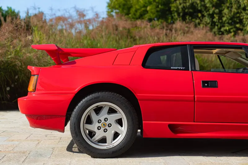 Lotus ESPRIT TURBO SE “HIGH WING” 24