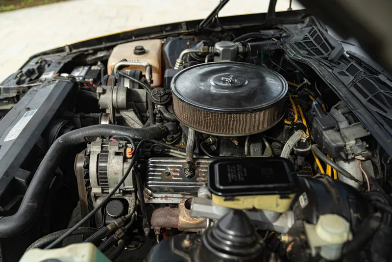 Chevrolet CAMARO III Z28 RS 5.0 V8 55