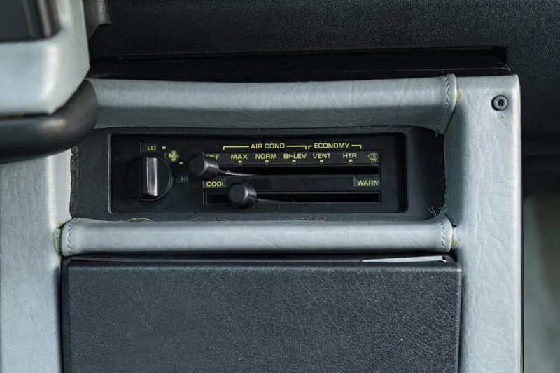 Chevrolet CAMARO III Z28 RS 5.0 V8 41