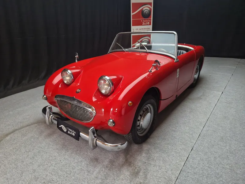 Healey Sprite Frog Eye 8