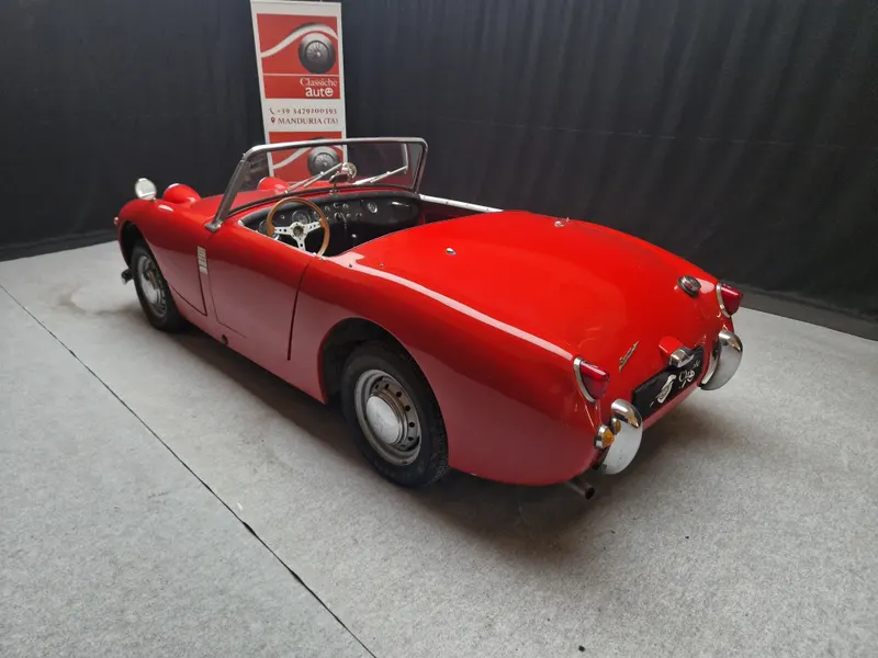 Healey Sprite Frog Eye 3