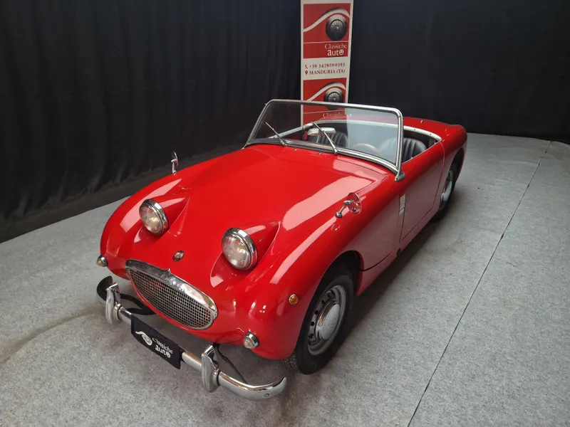 Healey Sprite Frog Eye 30