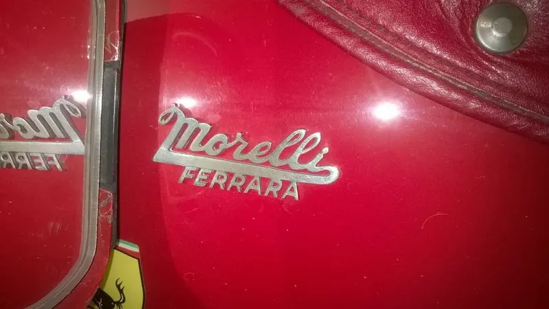 Baby Junior Patriarca 1960 11