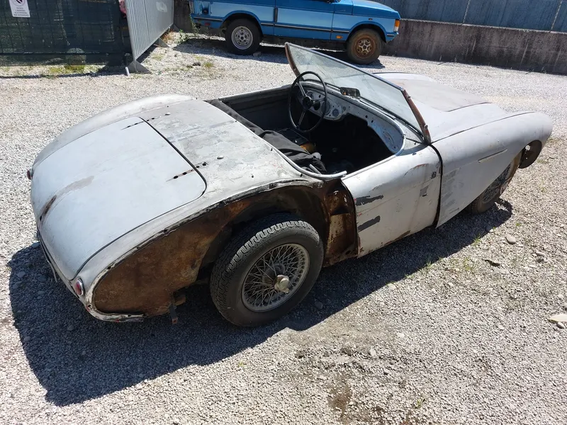 Healey 100/4 BN 1 del 1954 13