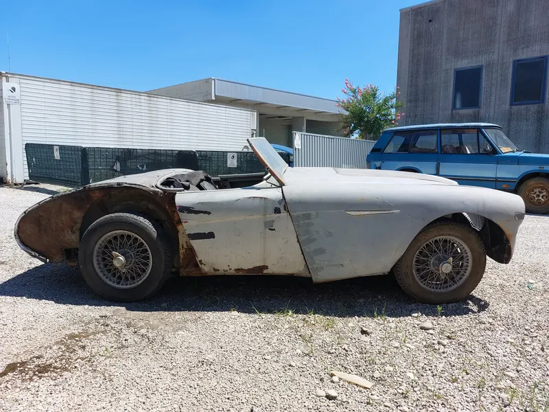 Healey 100/4 BN 1 del 1954 15