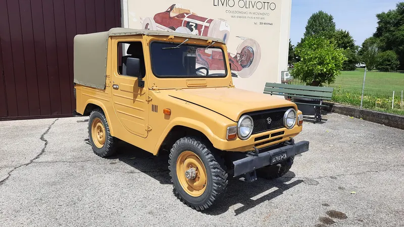 F 20 del 1979 2