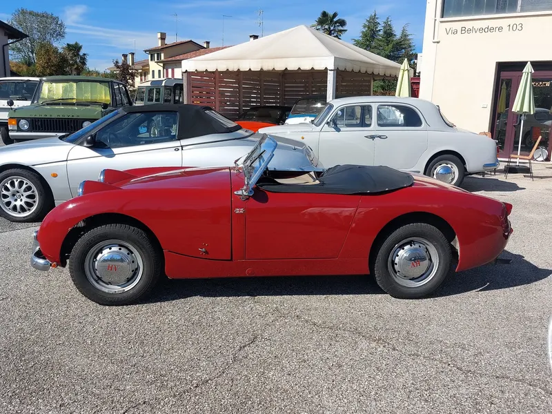 Healey Frog Eye del 1958 3