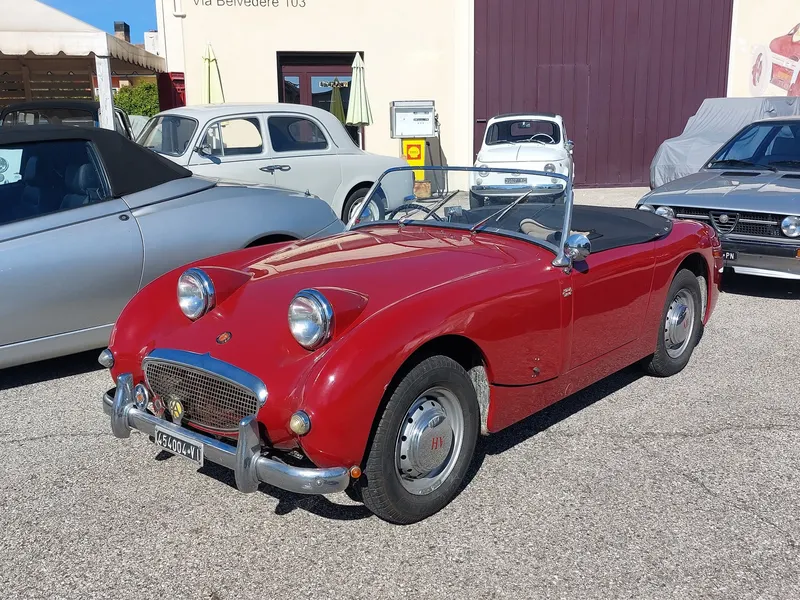 Healey Frog Eye del 1958 12