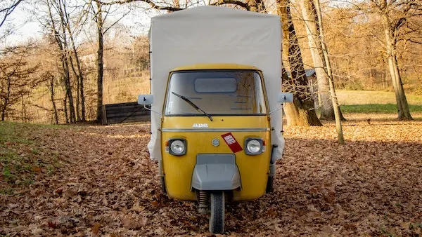 Ape P 601 del 1979 27