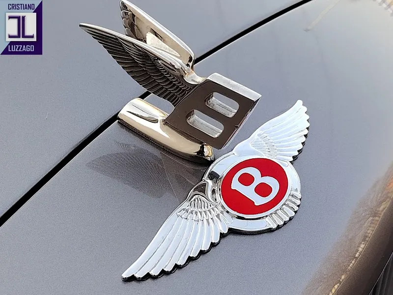 Bentley Continental S 14